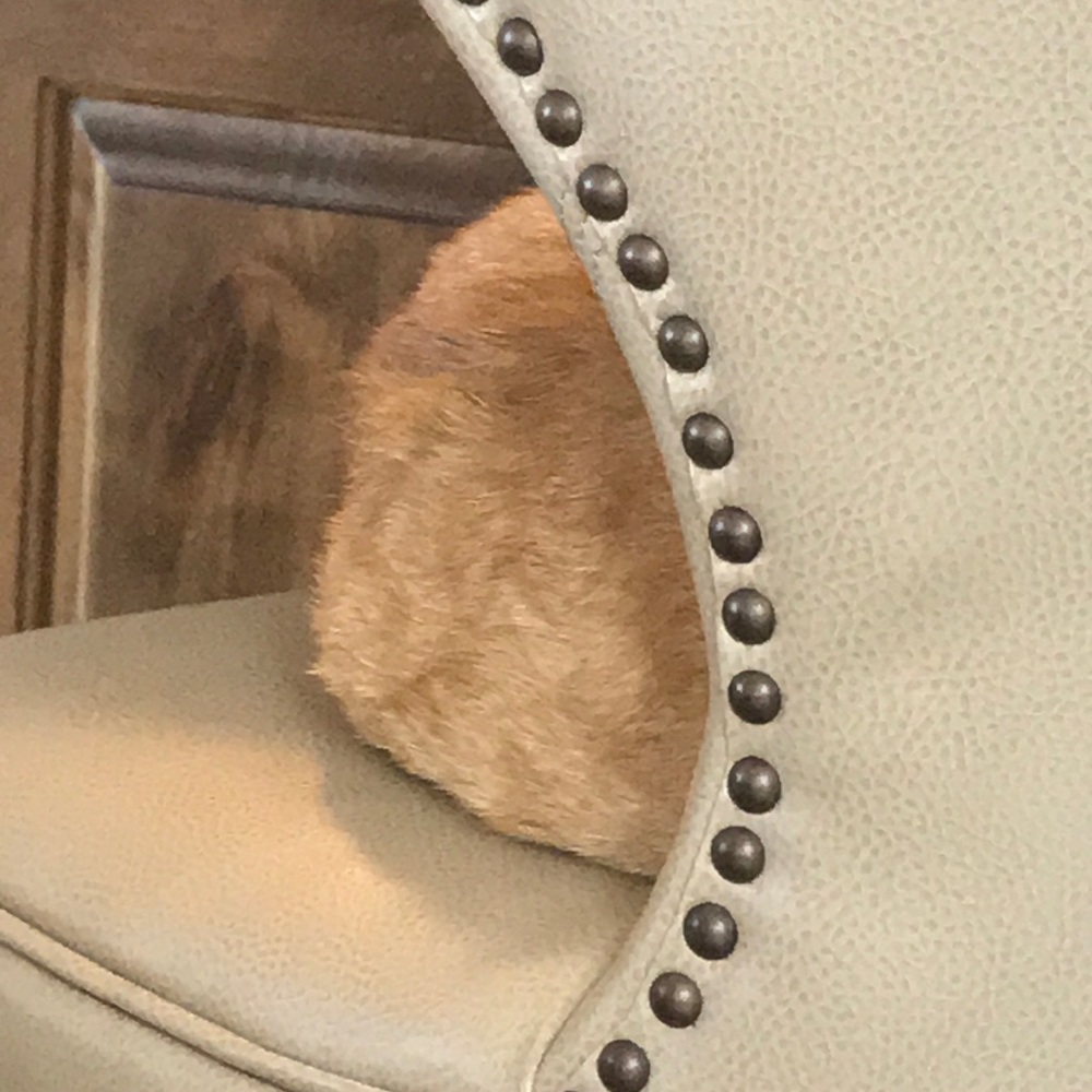 Meet your Posher, Lee